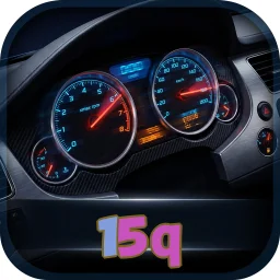 15q